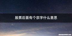股票后面有个宗字什么意思
