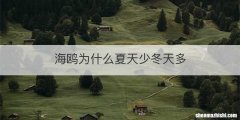 海鸥为什么夏天少冬天多