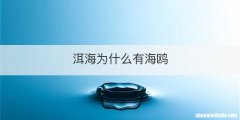 洱海为什么有海鸥
