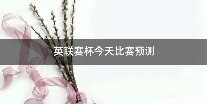 英联赛杯今天比赛预测