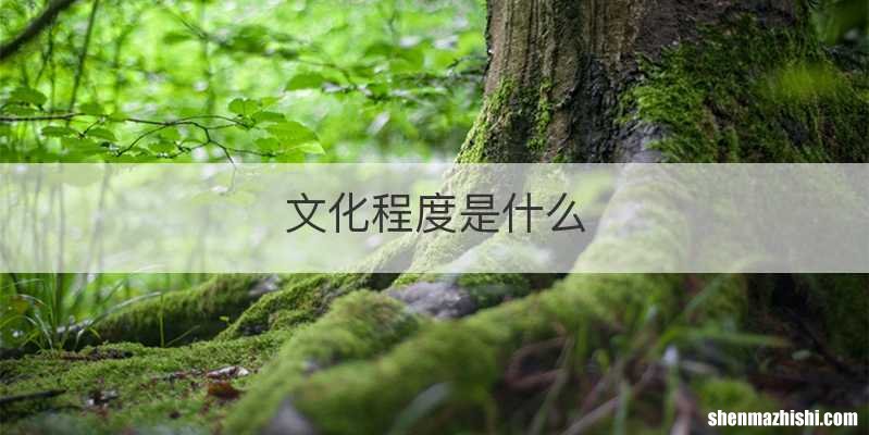 文化程度是什么
