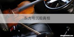 东方号沉船真相
