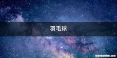 羽毛球