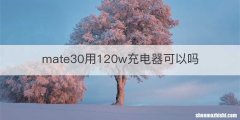 mate30用120w充电器可以吗
