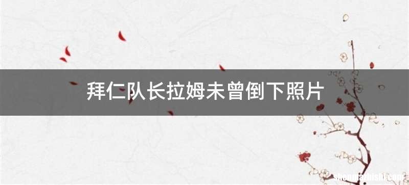 拜仁队长拉姆未曾倒下照片