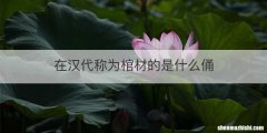 在汉代称为棺材的是什么俑