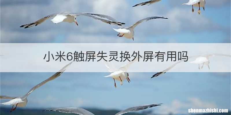 小米6触屏失灵换外屏有用吗