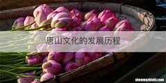 唐山文化的发展历程