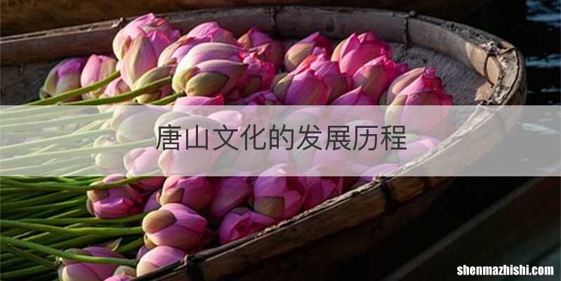 唐山文化的发展历程
