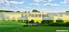东方不败是替身吗