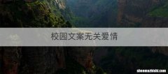校园文案无关爱情