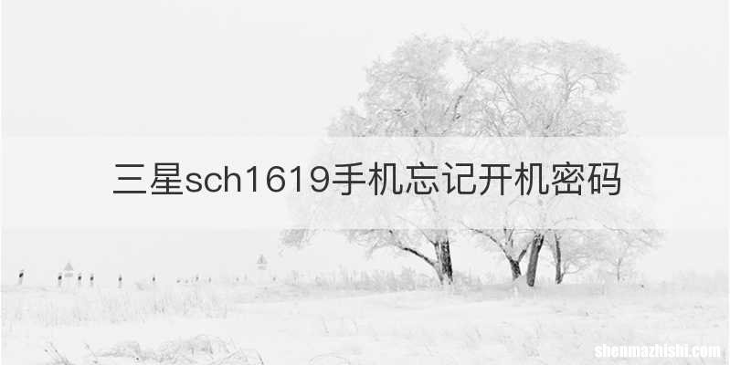 三星sch1619手机忘记开机密码