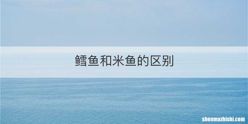 鳕鱼和米鱼的区别