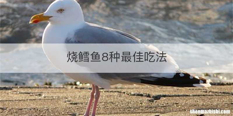 烧鳕鱼8种最佳吃法