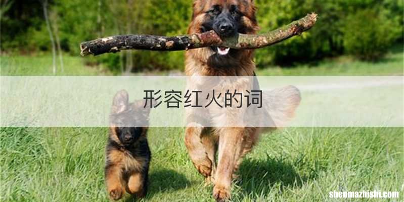 形容红火的词