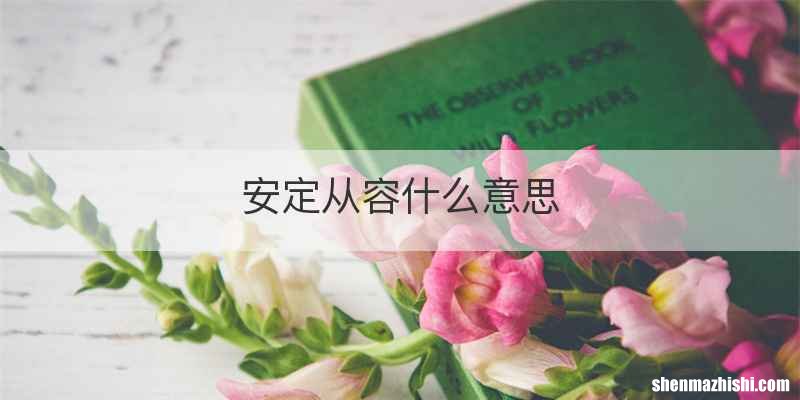 安定从容什么意思