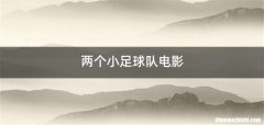 两个小足球队电影