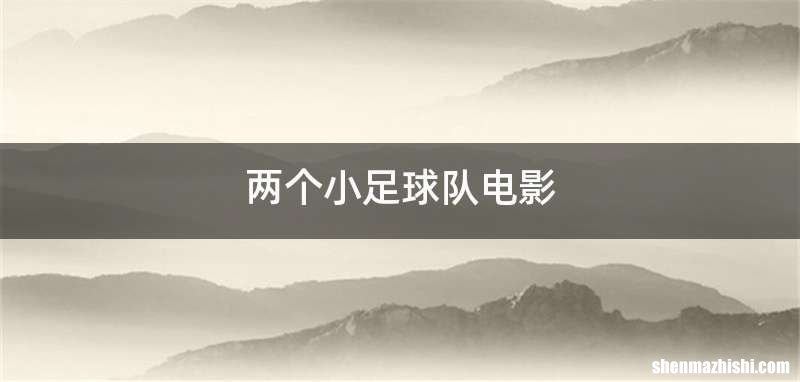 两个小足球队电影