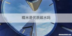 糯米是优质碳水吗