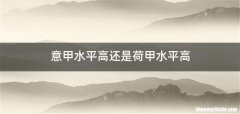 意甲水平高还是荷甲水平高