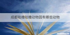 成都咕噜咕噜动物园有哪些动物