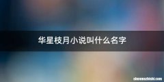 华星枝月小说叫什么名字