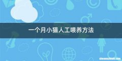 一个月小猫人工喂养方法