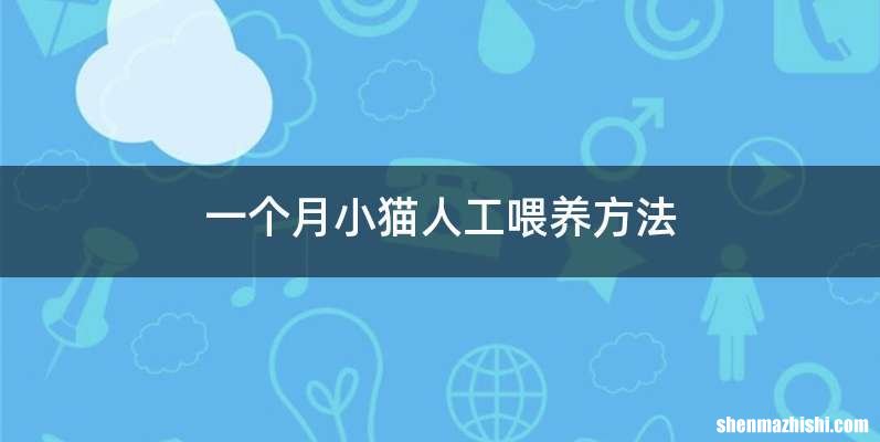 一个月小猫人工喂养方法