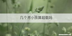 几个月小孩算超载吗