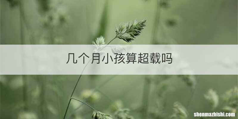 几个月小孩算超载吗