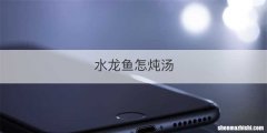 水龙鱼怎炖汤