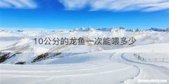 10公分的龙鱼一次能喂多少