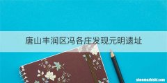 唐山丰润区冯各庄发现元明遗址