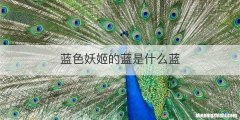 蓝色妖姬的蓝是什么蓝