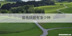 蓝色妖姬有多少种