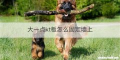 大一点kt板怎么固定墙上