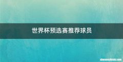 世界杯预选赛推荐球员