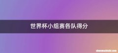 世界杯小组赛各队得分