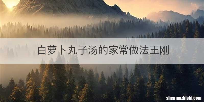 白萝卜丸子汤的家常做法王刚