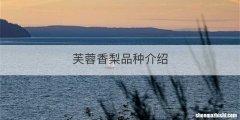 芙蓉香梨品种介绍