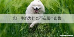 归一牛奶为什么不在超市出售