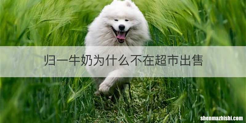 归一牛奶为什么不在超市出售