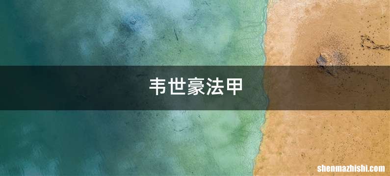 韦世豪法甲