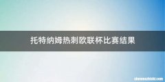 托特纳姆热刺欧联杯比赛结果