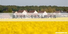 重庆地铁10号线怎么转5号线