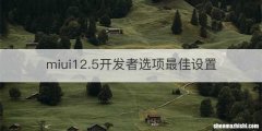 miui12.5开发者选项最佳设置
