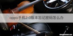 oppo手机2.0版本忘记密码怎么办