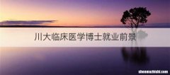 川大临床医学博士就业前景