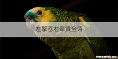 左擎苍右牵黄全诗