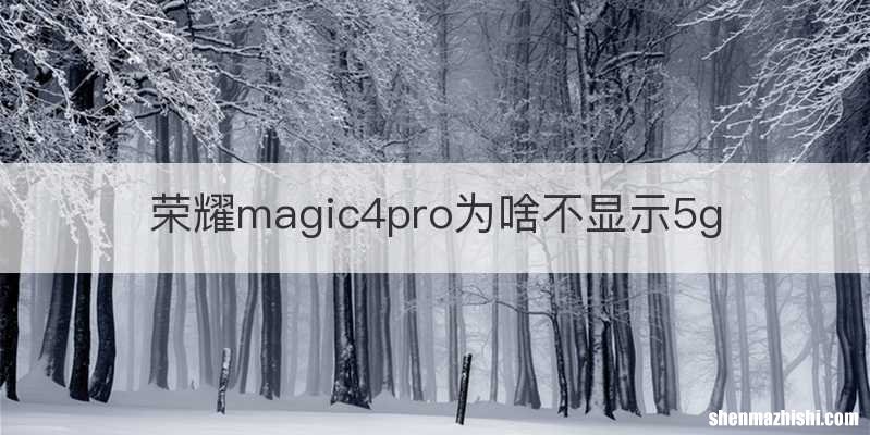 荣耀magic4pro为啥不显示5g